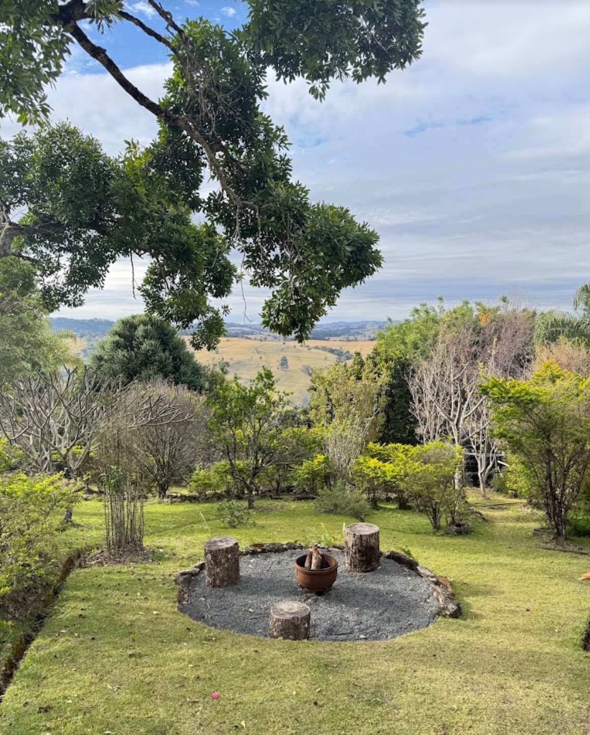Fogo de chão no gramado entre as árvores